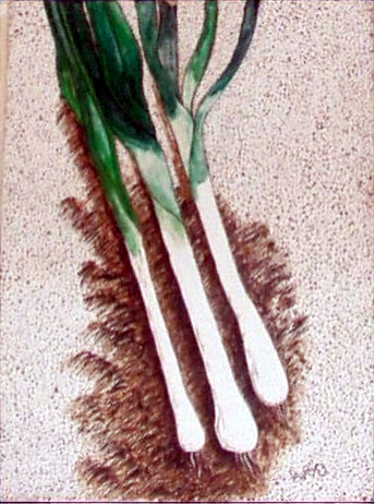 Green Onions